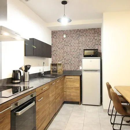 Apartment Beau F3 Avec Parking Et Animaux Acceptes, Proche Thermes Le Mont-Dore