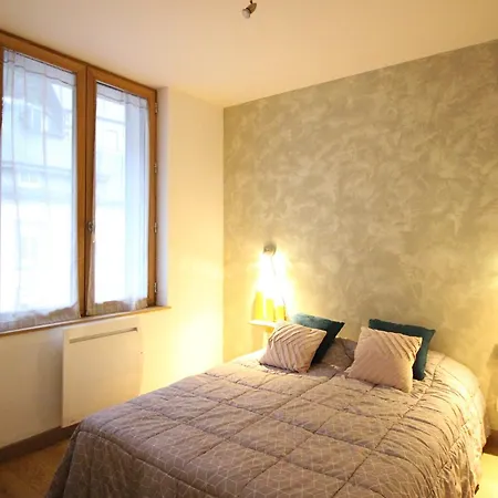 Beau F3 Avec Parking Et Animaux Acceptes, Proche Thermes * Le Mont-Dore