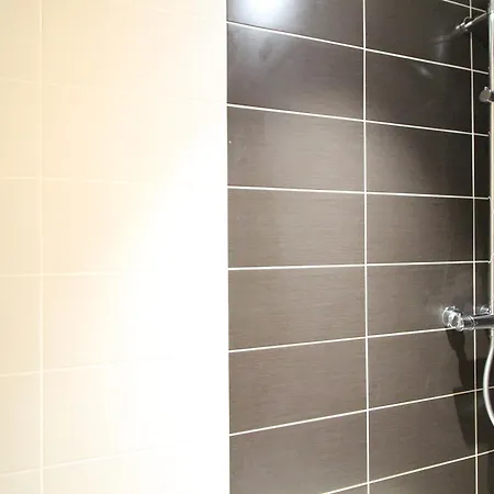 Beau F3 Avec Parking Et Animaux Acceptes, Proche Thermes Apartment Le Mont-Dore