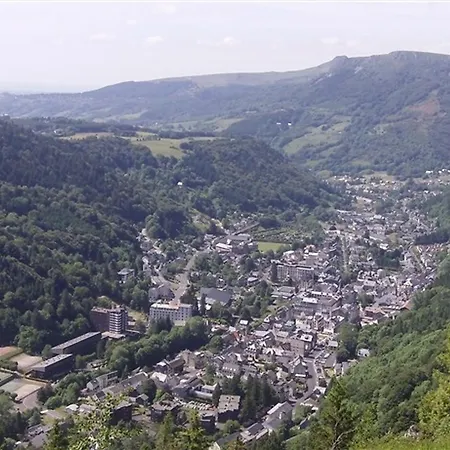 Beau F3 Avec Parking Et Animaux Acceptes, Proche Thermes Apartment Le Mont-Dore