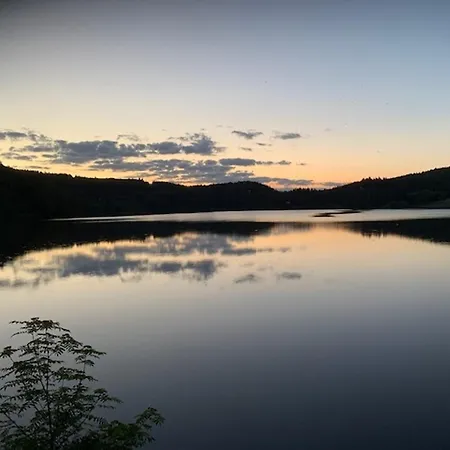 Beau F3 Avec Parking Et Animaux Acceptes, Proche Thermes - Fr-1-415-165 * Mont-Dore