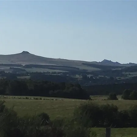 Apartament Beau F3 Avec Parking Et Animaux Acceptes, Proche Thermes - Fr-1-415-165 Mont-Dore