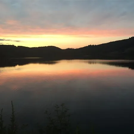 Beau F3 Avec Parking Et Animaux Acceptes, Proche Thermes - Fr-1-415-165 Mont-Dore